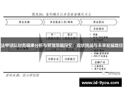 法甲球队财务健康分析与管理策略探索：现状挑战与未来发展路径