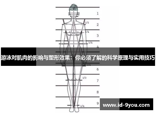 游泳对肌肉的影响与塑形效果：你必须了解的科学原理与实用技巧