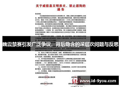 魏震禁赛引发广泛争议，背后隐含的深层次问题与反思